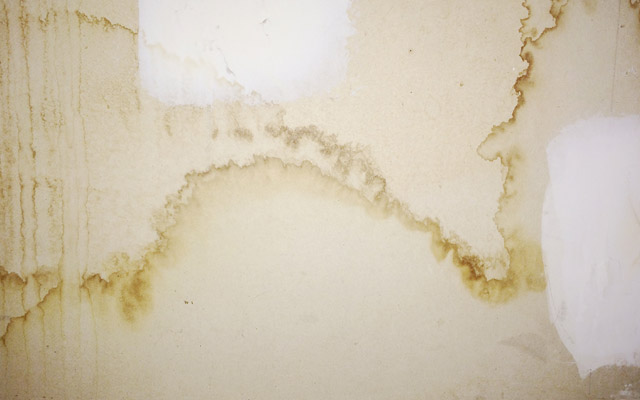 Basement Drywall Repair